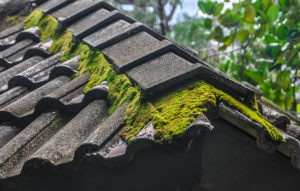 Wasserschaden durch Schäden am Haus
